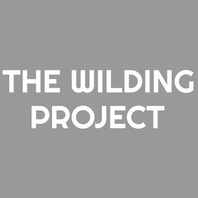 WILDING PROJECT WHITE - BACK Thumbnail