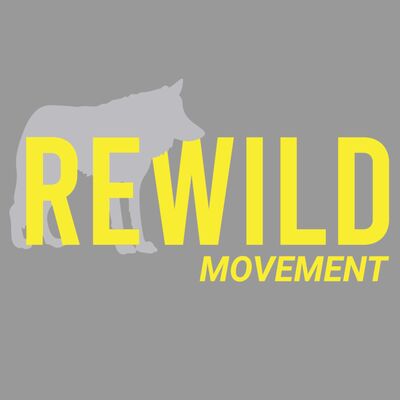 REWILD WOLF YELLOW Thumbnail